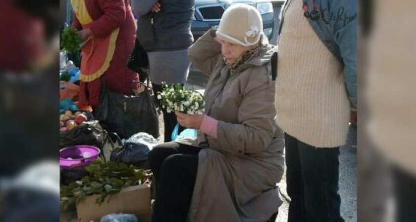 В Новороссийске незаконно продают подснежники: цветы занесены в Красную книгу