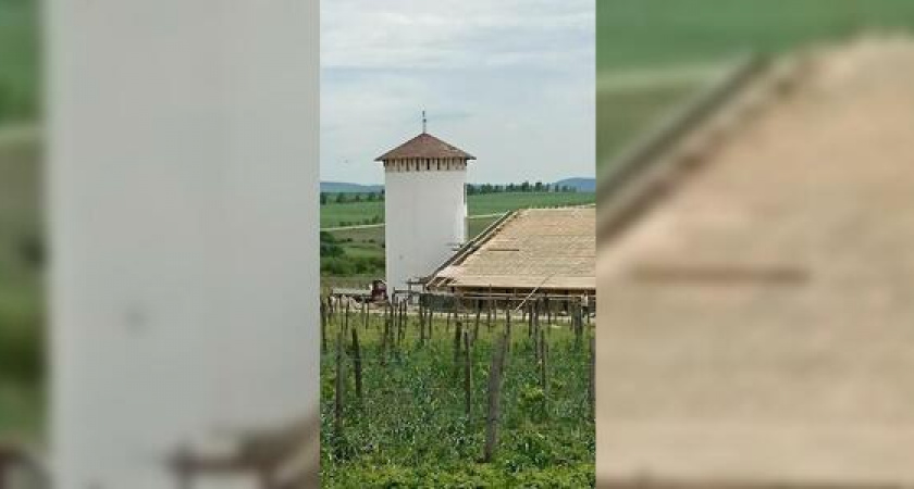 Винная деревня приглашает на мероприятия