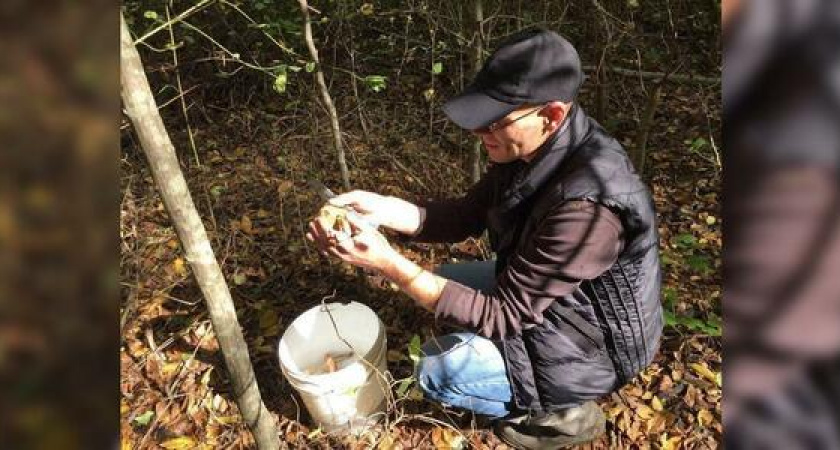 В лесах Новороссийска появились первые грибы