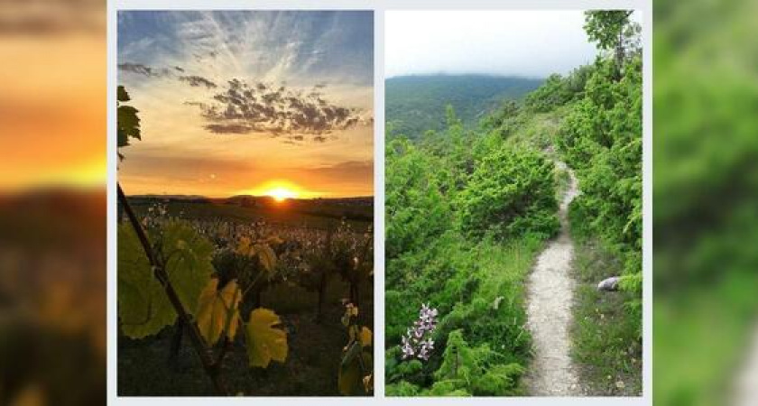 Новороссийск в Instagram: дорога домой и красота под боком