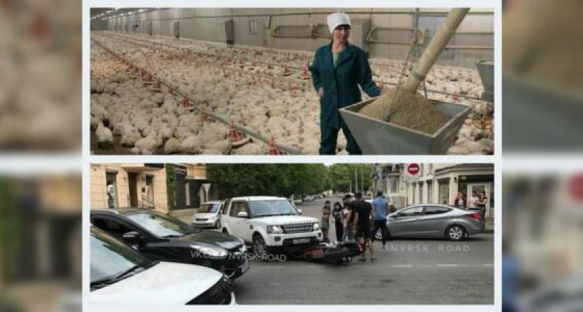 Что обсуждали в Новороссийске 7 июня: внедорожник наехал на мотоцикл и 500 миллионов на птицефабрику