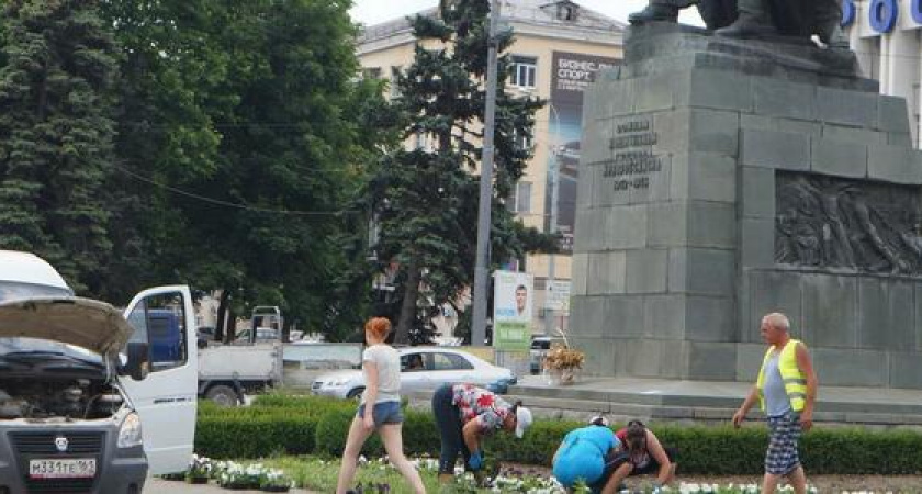 В июне в клумбах Новороссийска высадят 191 тысячу цветов