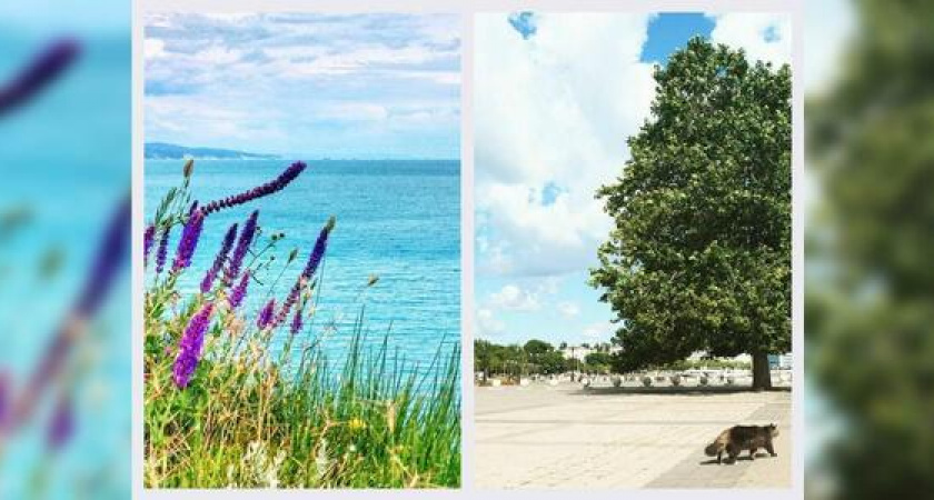 Новороссийск в Instagram: 100 и 1 причина для путешествия по Цемесской бухте