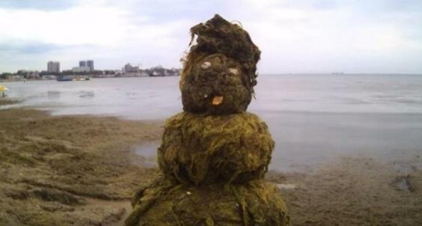 В Анапе на пляже слепили снеговика из водорослей: прохожие сняли на видео необычную скульптуру