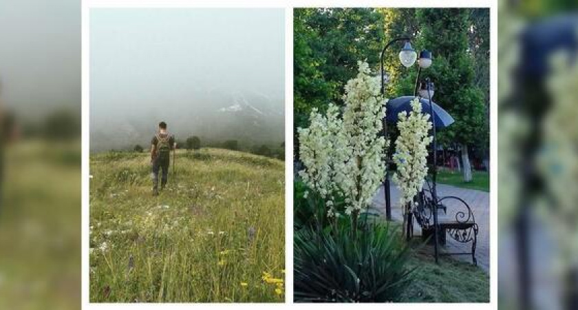 Новороссийск в Instagram: утренний поход в горы и юкка с другой стороны