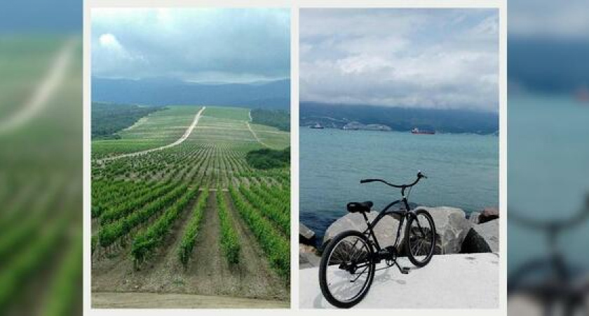 Что постили новороссийцы в соцсетях - странное ощущение счастья и размах виноградников