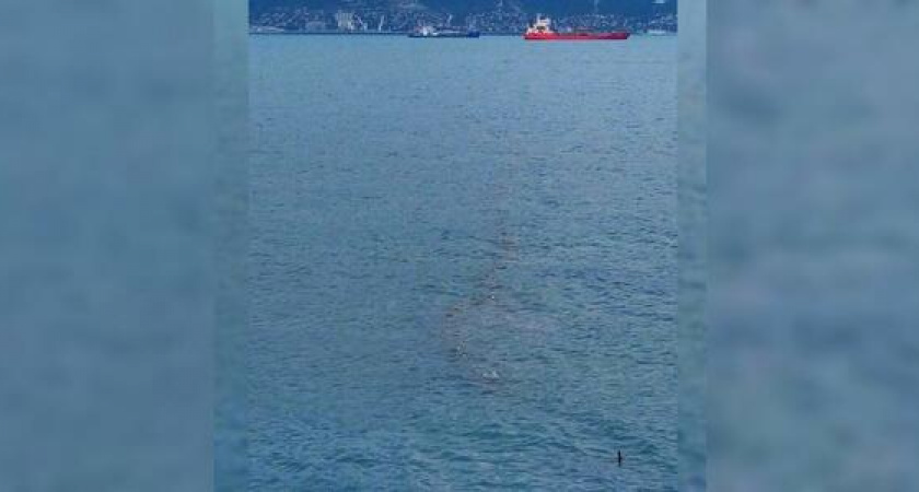 «Вонь на всю округу!»: в море у берегов Новороссийска плавают рыболовные сети с мертвой рыбой