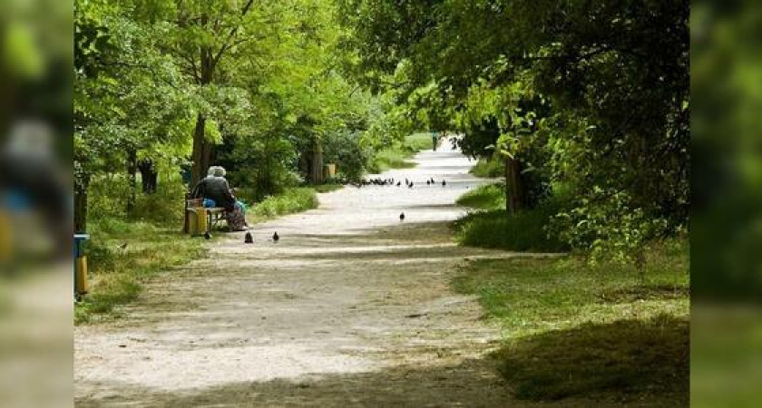 В Новороссийске к концу года появятся 50 зеленых зон для обустройства парков и скверов