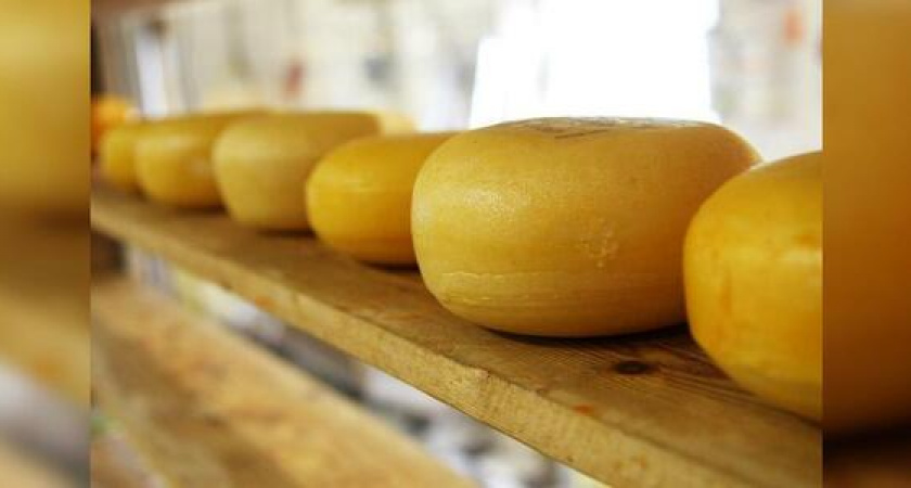 Россельхознадзор надзор уничтожил тонну санкционного сыра