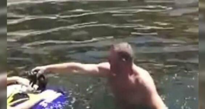 Новороссийцы спасли утопающего котенка, который прыгнул в море, чтобы доплыть до людей: трогательное видео
