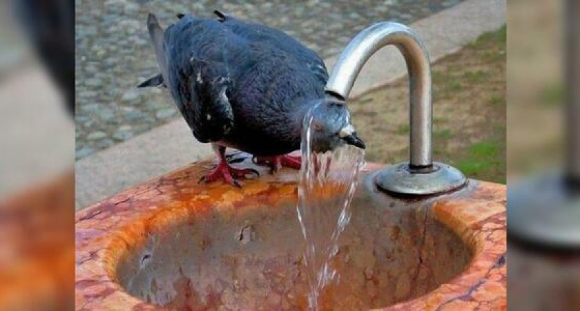 Жара продолжается: на неделе в Новороссийске будет до +34 градусов