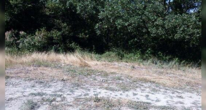 Появились фотографии с места, где нашли тело убитой 15-летней новороссийки