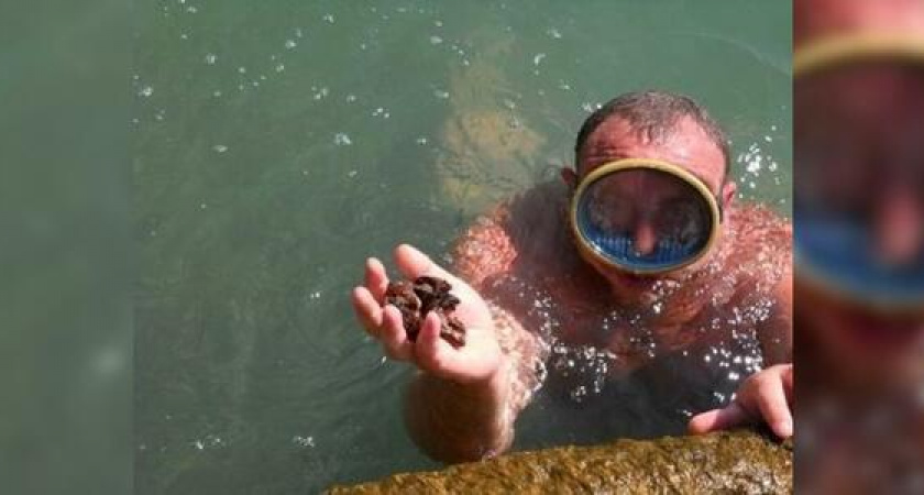 Новороссийца оштрафовали на 15 тысяч рублей за сбор мидий