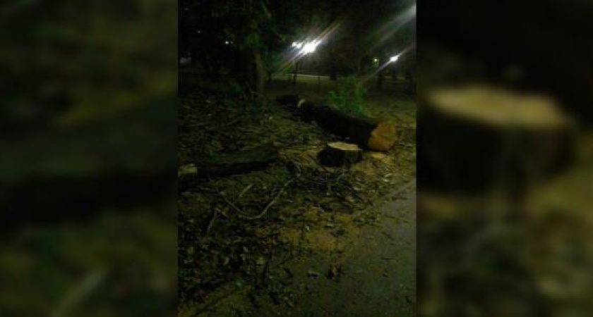 В Новороссийске на Площади Героев валят деревья и фонари