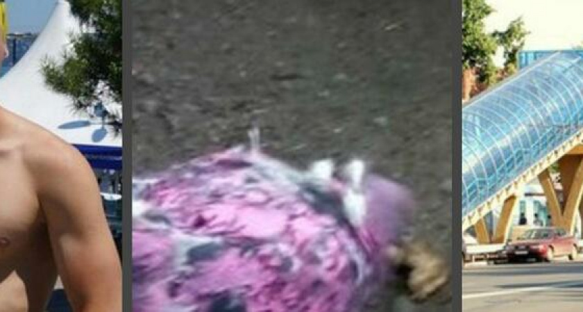 Новороссиец переплыл через Босфор, розовый голубь и новый переход: итоги недели в Новороссийске