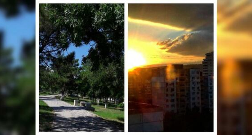 Как будто в лесу и последний день июля - что постили новороссийцы в соцсетях