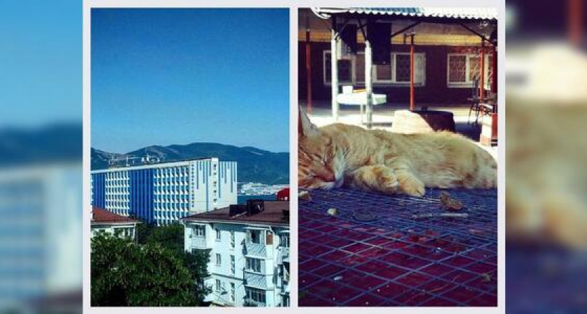 Вид с крыши и рыжий кот - что фотографировали новороссийцы