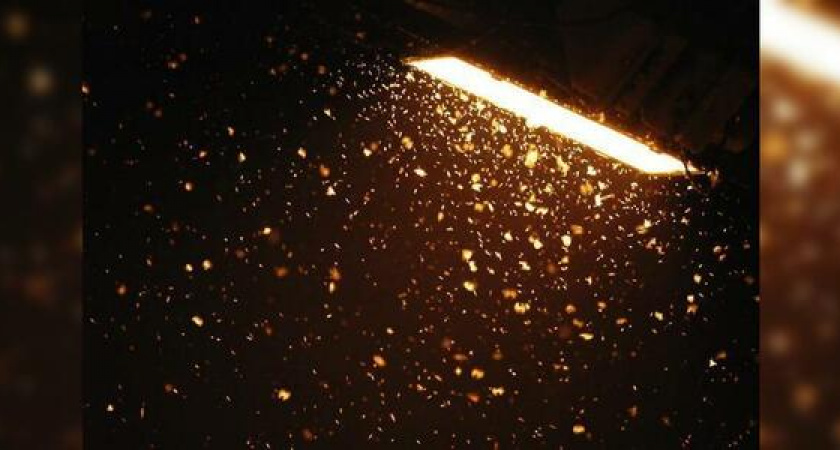 Мошки атакуют!: новороссийцы жалуются на сильный рост популяции насекомых