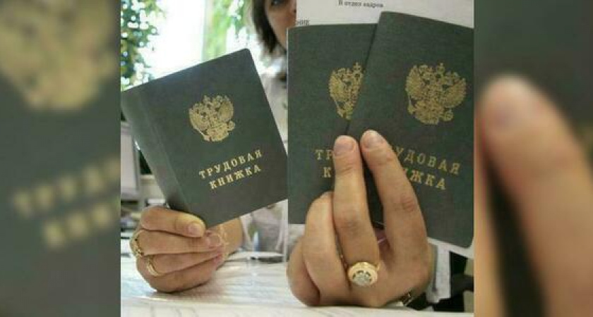 Няня для собаки и работница по уходу за VIP-гардеробом: на Кубани назвали редкие вакансии