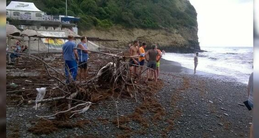 С пляжа в пригороде Новороссийска вывезли 27 кубов водорослей