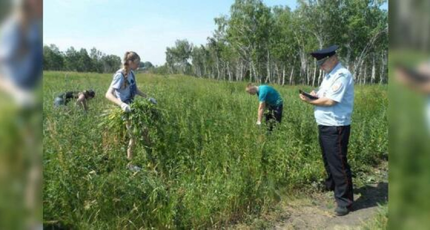 Полицейские Новороссийска искали наркотики в Абрау-Дюрсо: проверили 20 человек
