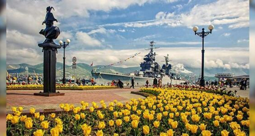 В Новороссийске высадят 15 750 тюльпанов и виол