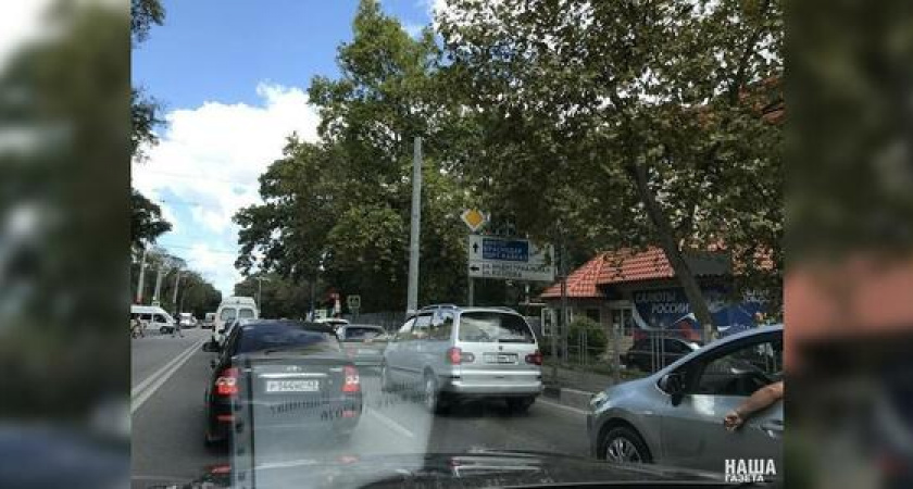 «Из-за листьев знаков не видно!»: автолюбители Новороссийска жалуются на закрывающие знаки деревья