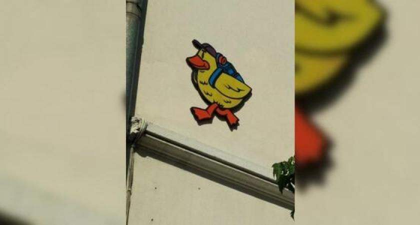 Жители Новороссийска заметили утенка с рюкзаком на нескольких домах города