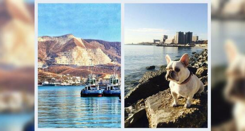 Два адмирала и бульдожка - что выкладывали новороссийцы в социальных сетях