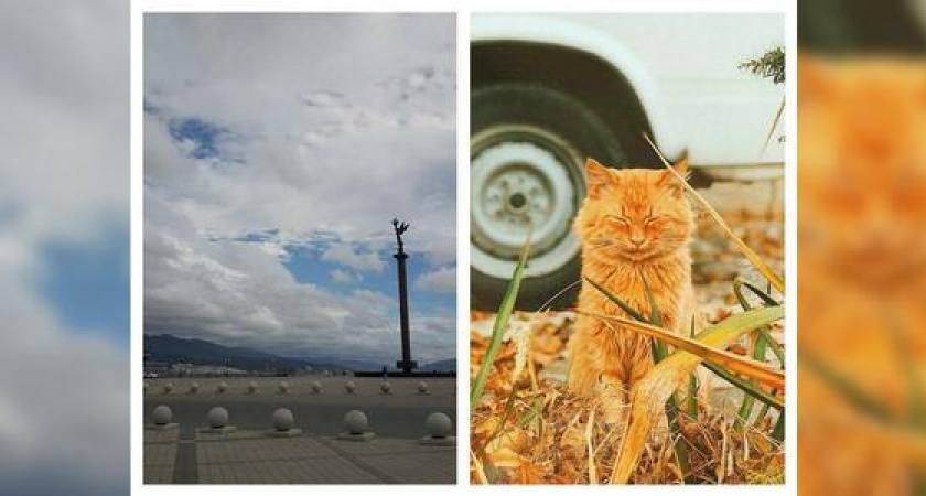 Новороссийск в Instagram: самое красивое небо в России и рыжий Вася