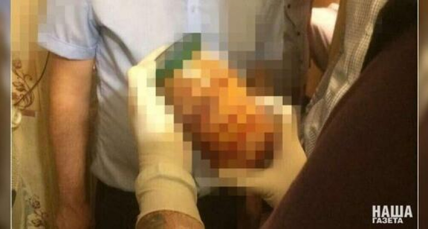 Эксперты: в квартире «краснодарских каннибалов» были останки одного человека