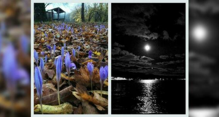 Лунная ночь и волшебный момент - что постили жители Новороссийска в соцсетях