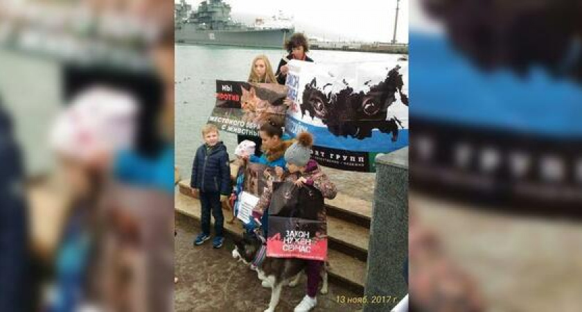 В Новороссийске записали видеообращение к президенту РФ в поддержку закона о защите животных