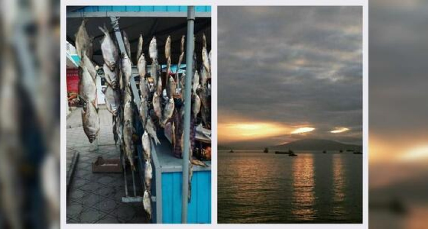 Новороссийск в Instagram: кому леща и новая жизнь