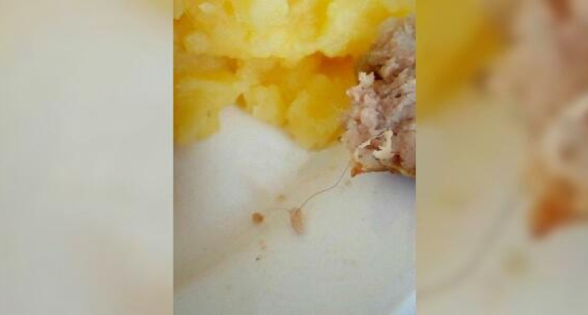 Пациенты новороссийской «инфекционки» нашли в котлете волос, а в компоте – жука