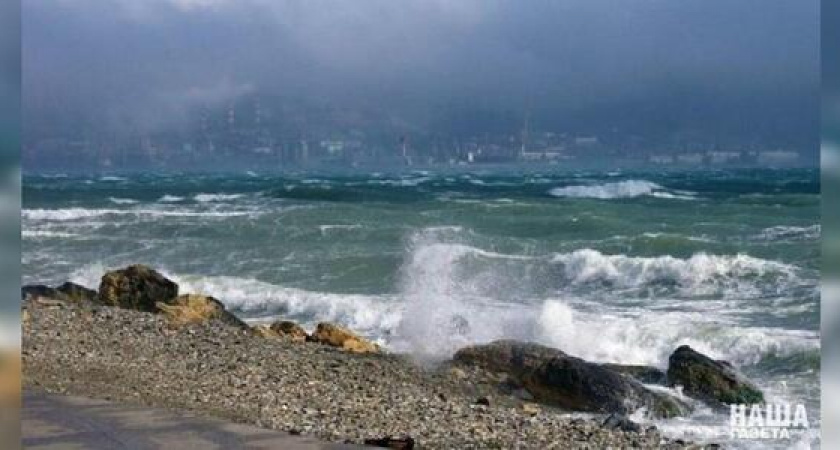На выходных в Новороссийске ожидается сильный ветер: порывы составят до 20 метров в секунду