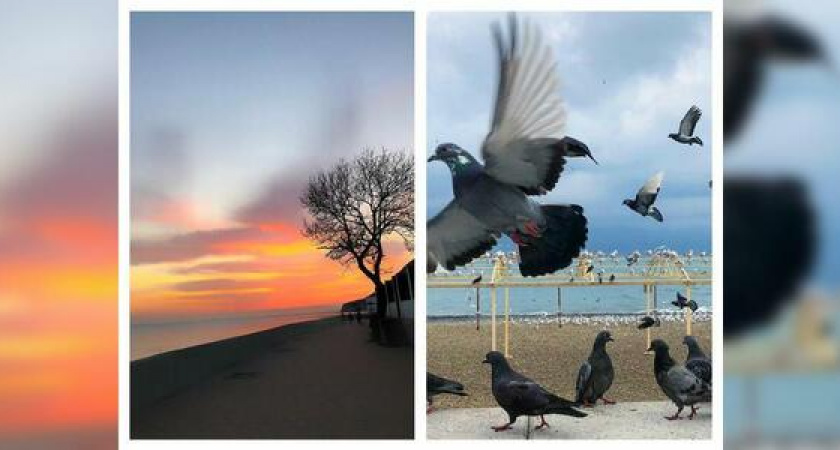 Новороссийск в Instagram: что ни происходит - к лучшему и теплый денек