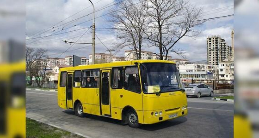В Новороссийске пассажирский автобус незаконно перевозил пассажиров