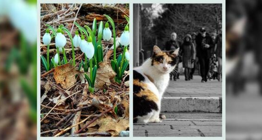 Новороссийск в Instagram: первоцветы и лови момент