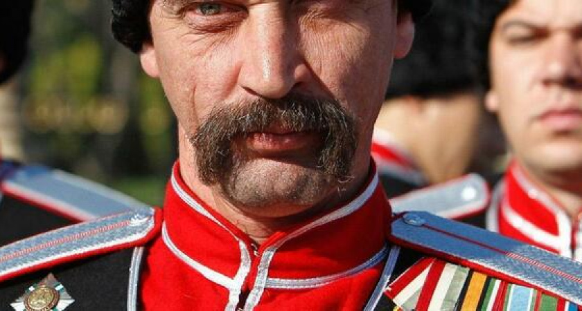 В Краснодарском крае хотят создать казачьи кибердружины: новый отряд будет бороться с нежелательным контентом