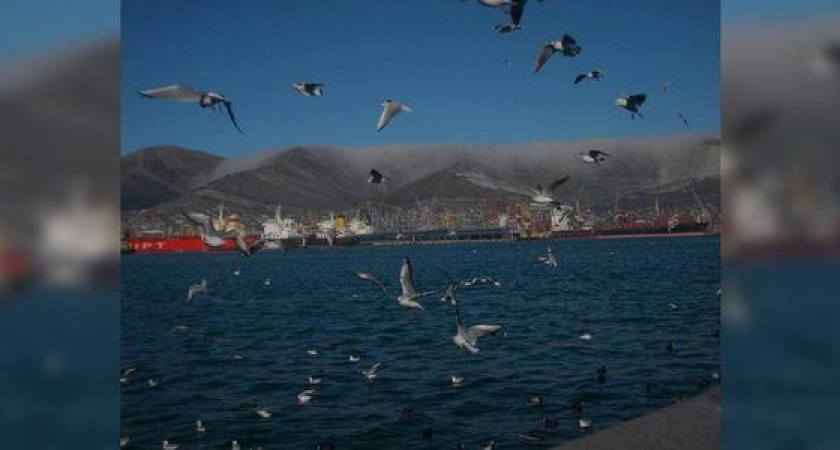 Синоптики рассказали, надолго ли в Новороссийск пришли морозы