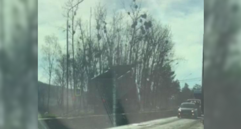 На трассе под Новороссийском оборвались провода и упали на грузовик: на дороге образовалась пробка