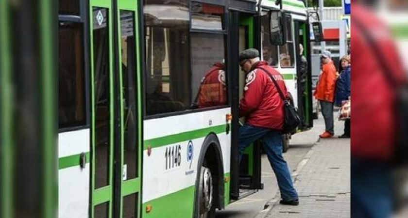 В Новороссийске в день выборов пустят 52 бесплатных автобуса: расписание