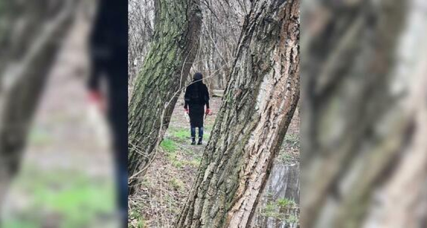 В Пионерской роще Новороссийска вела расследование участница телешоу «Дневник экстрасенса»: видео уже появились в сети