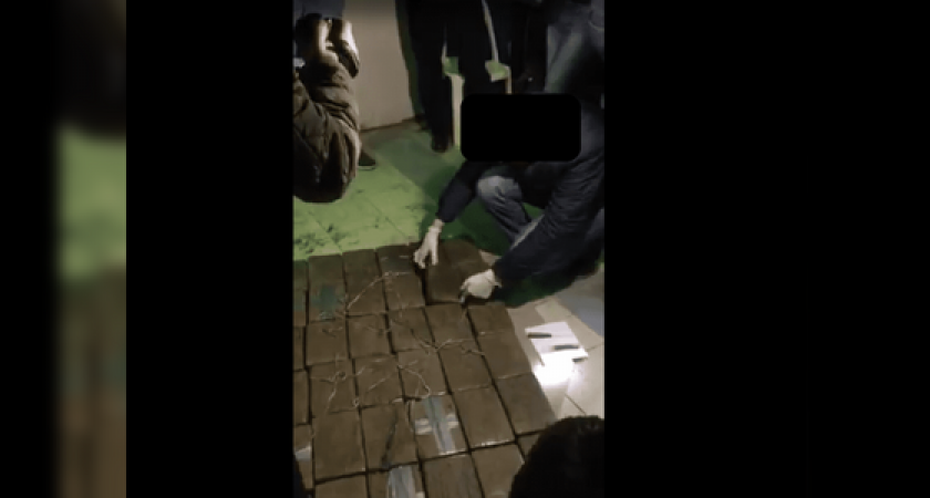 В Новороссийске осудят мужчину, который пытался вывести 36 килограмм кокаина в Санкт-Петербург
