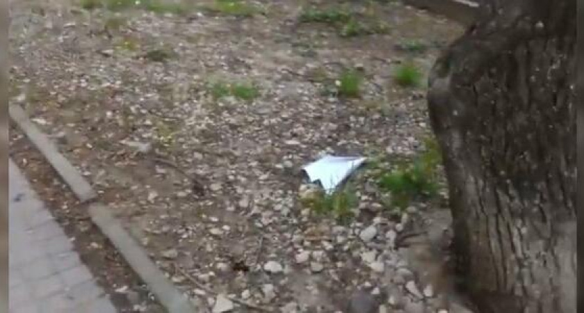 Жители Новороссийска запустили бумажные самолетики в поддержку Telegram