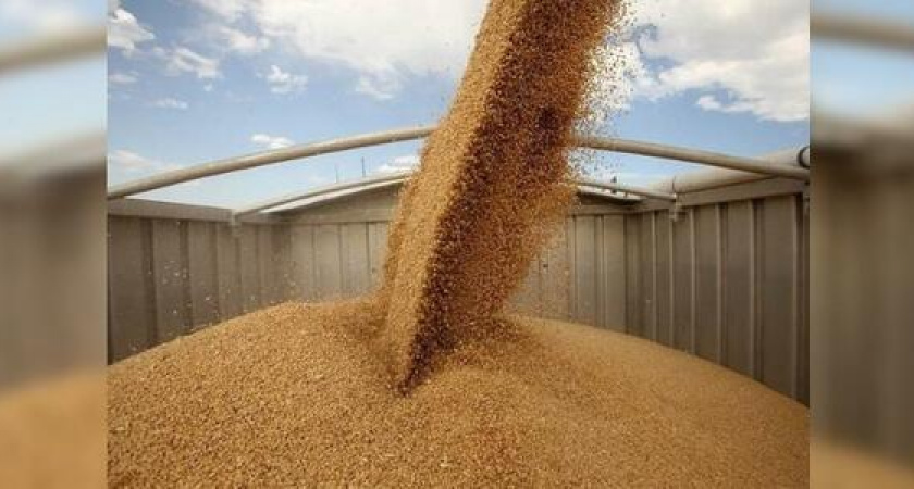 Новороссийск посетила делегация из Саудовской Аравии