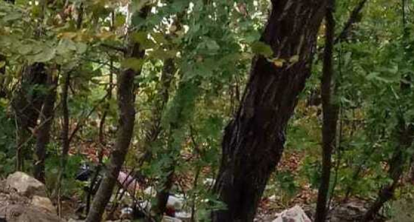 Берег Неберджаевского водохранилища, из которого получают питьевую воду новороссийцы, завален мусором