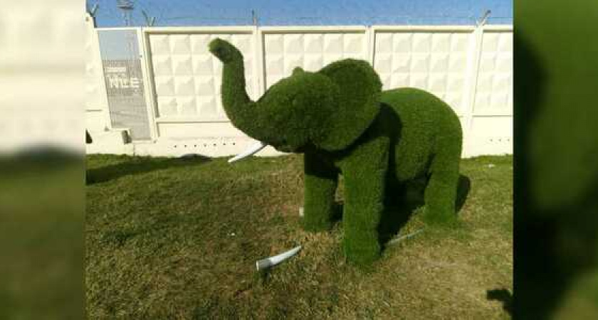 В Новороссийске вандалы сломали бивень зеленому слону