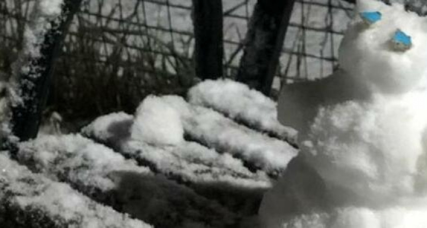 "Запахло Новым годом всерьез": Новороссийск завалило снегом